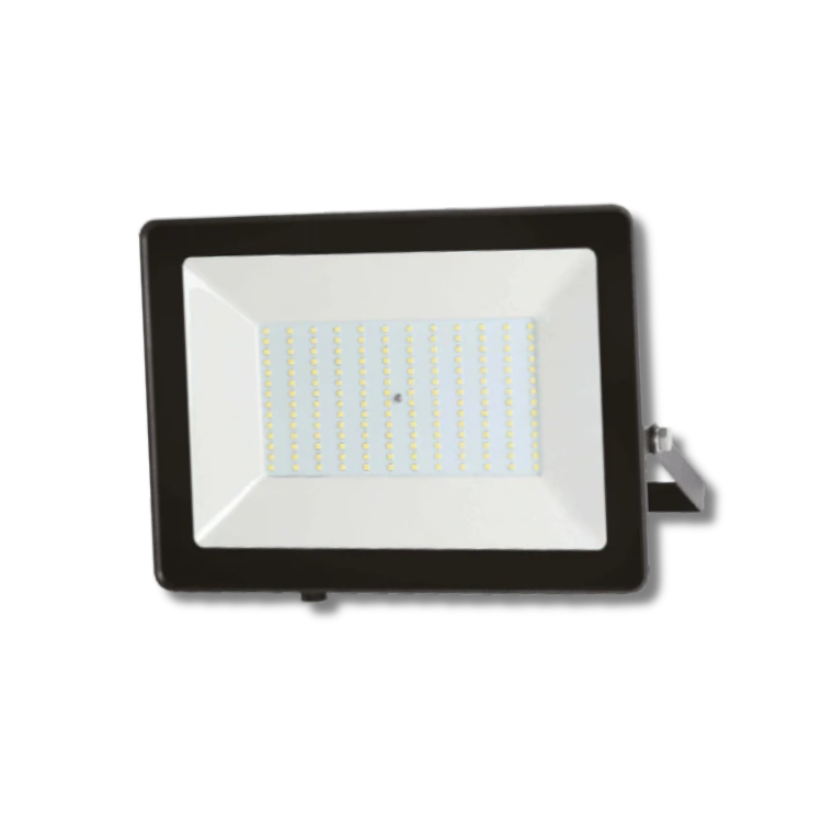 PROYECTOR POLUX 100W LUZ FRÍA